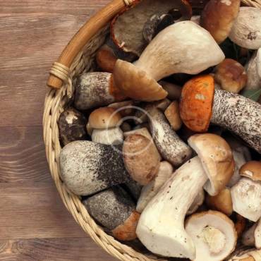 Selecting & Storing Fresh Mushrooms